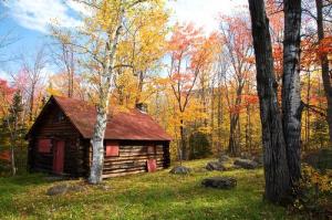 credit: Scott Kemper/Alamy