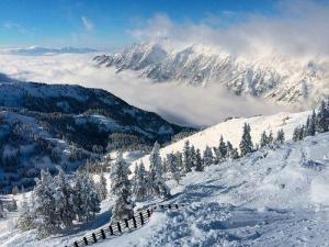 image credit: Steve Dunleavy/Flickr